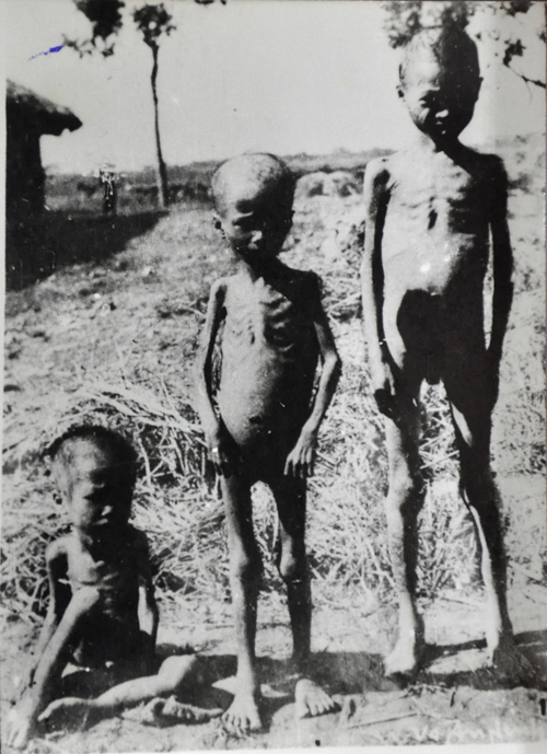 Nạn Đói 1945 ở Việt Nam: Thảm Họa Nhân Đạo Kinh Hoàng