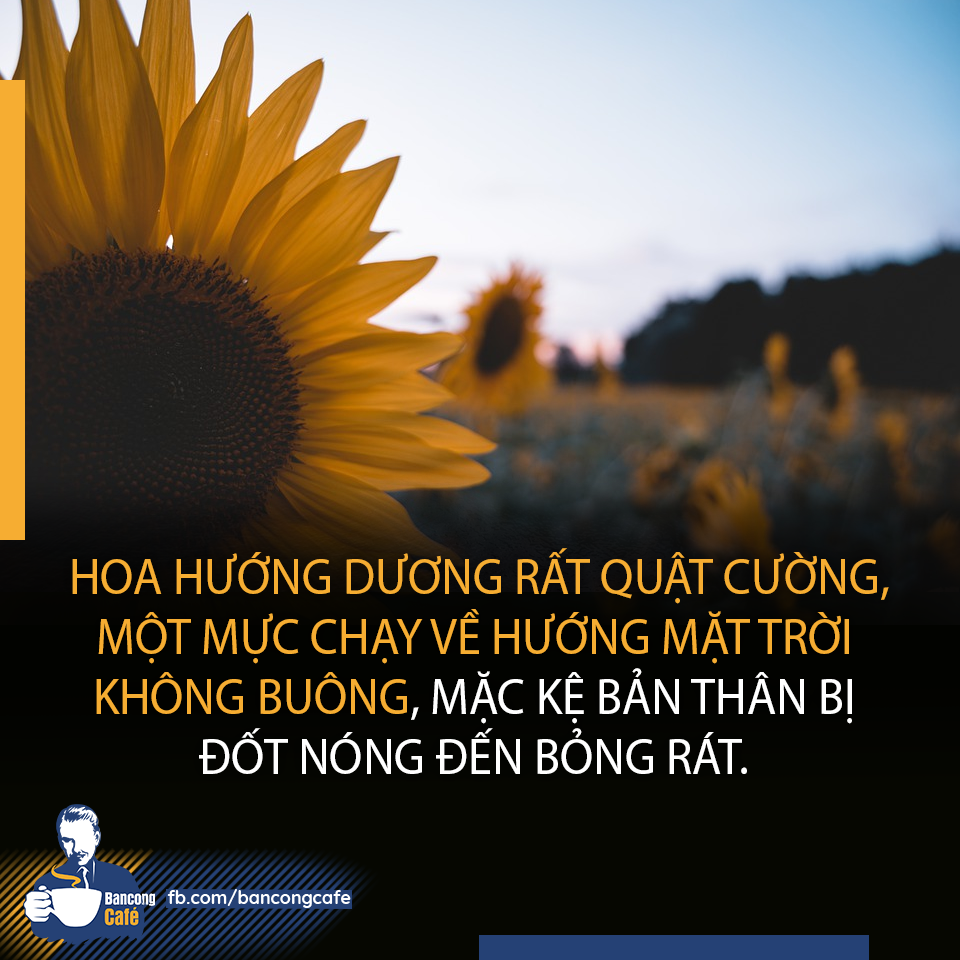 Nãn hay Nản?