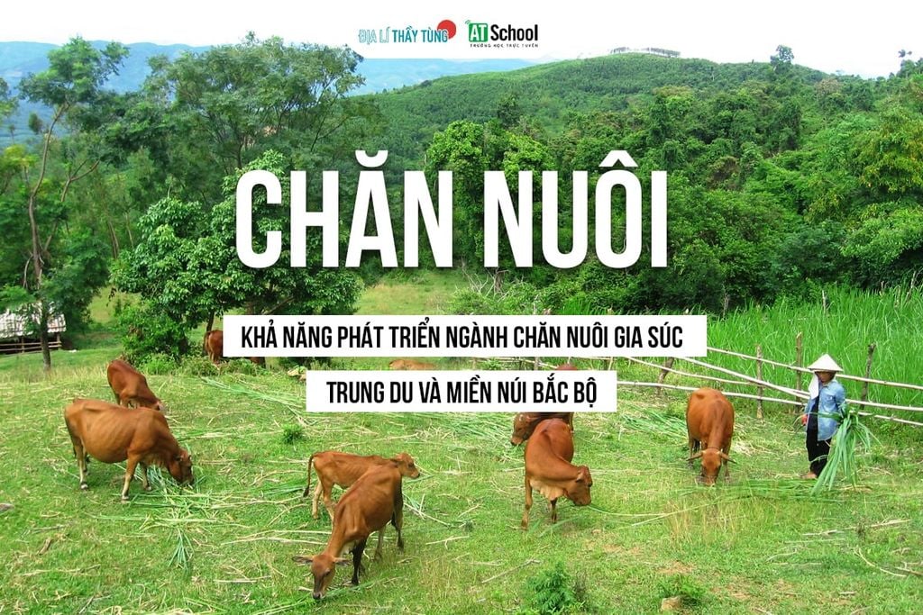 Ý nghĩa chủ yếu của việc hình thành vùng tập trung chăn nuôi gia súc lớn ở Bắc Trung Bộ là gì? Gallery 2