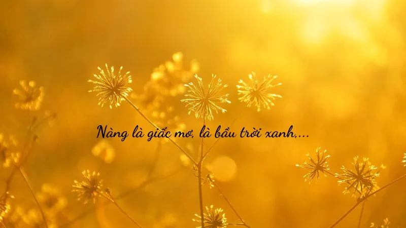 Thơ về Nàng Thơ: Nguồn Cảm Hứng Bất Tận Của Thi Ca Gallery 2
