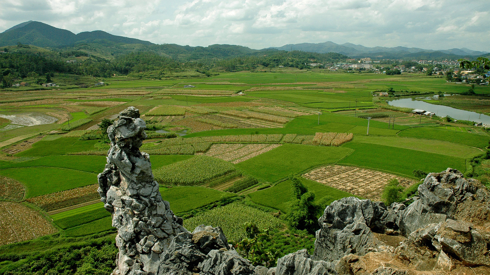 Nàng Tô Thị Ở Đâu? Gallery 2