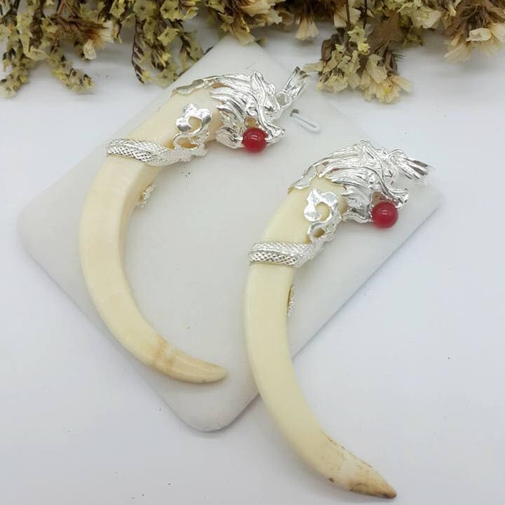 Nanh Lợn Rừng Bọc Bạc Gallery 2
