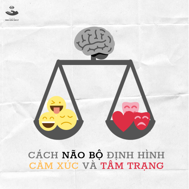 Cảm xúc đến từ đâu? Gallery 1