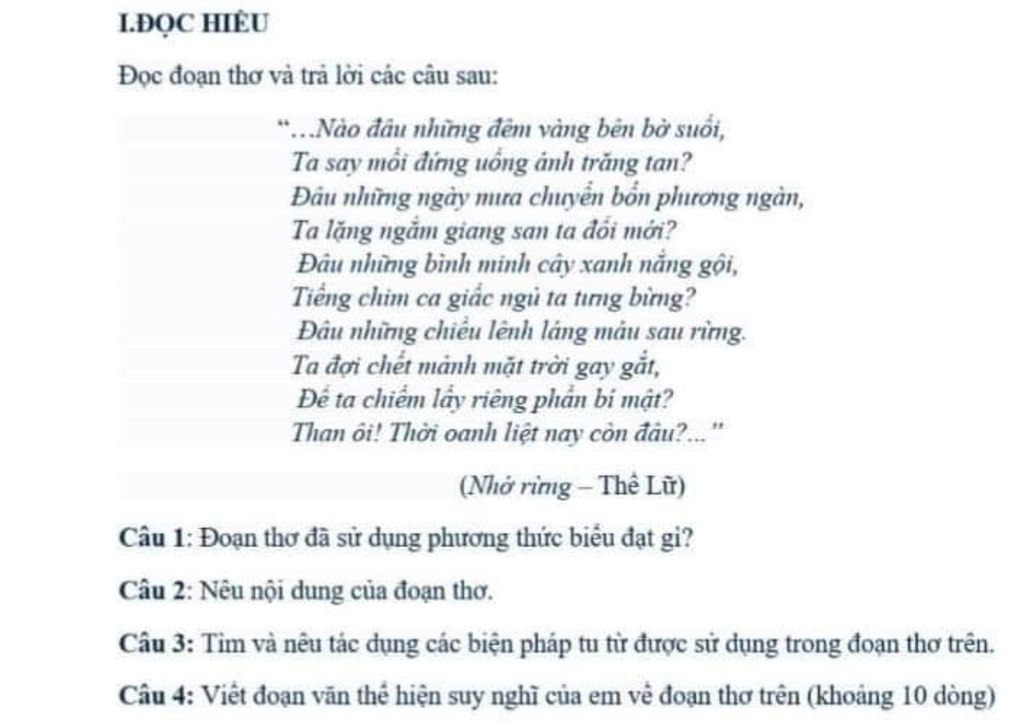 Nào đâu những đêm vàng bên bờ suối Gallery 2