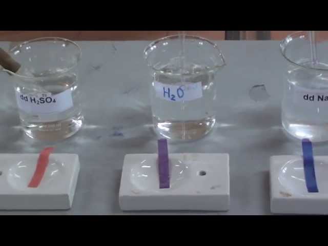 NaOH làm quỳ tím chuyển màu gì?