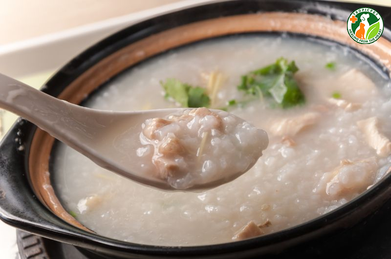 Nấu Cháo Cho Chó Con