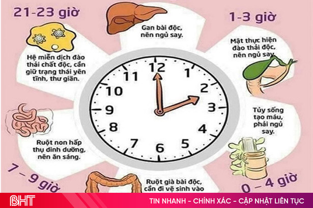 Nên Dậy Sớm Lúc Mấy Giờ?