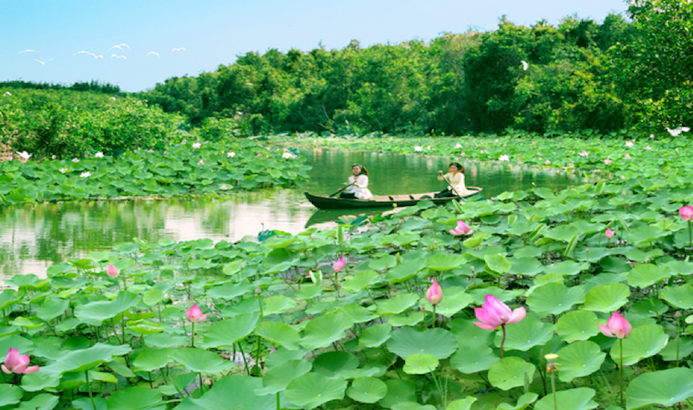 Giới thiệu về Đồng Tháp Gallery 2