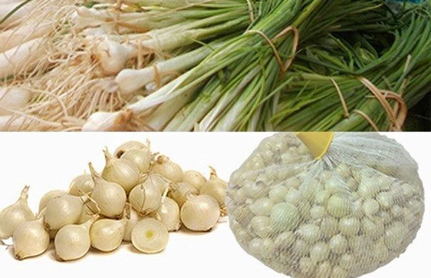 Nền là gì?