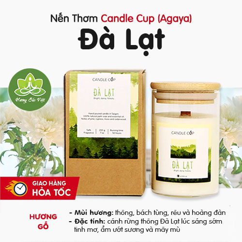 Nến thơm Đà Lạt: Hương thơm thiên nhiên, quà tặng ý nghĩa