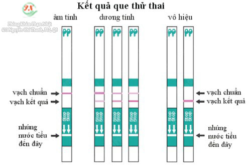 Nên Thử Que Thử Thai Vào Lúc Nào?