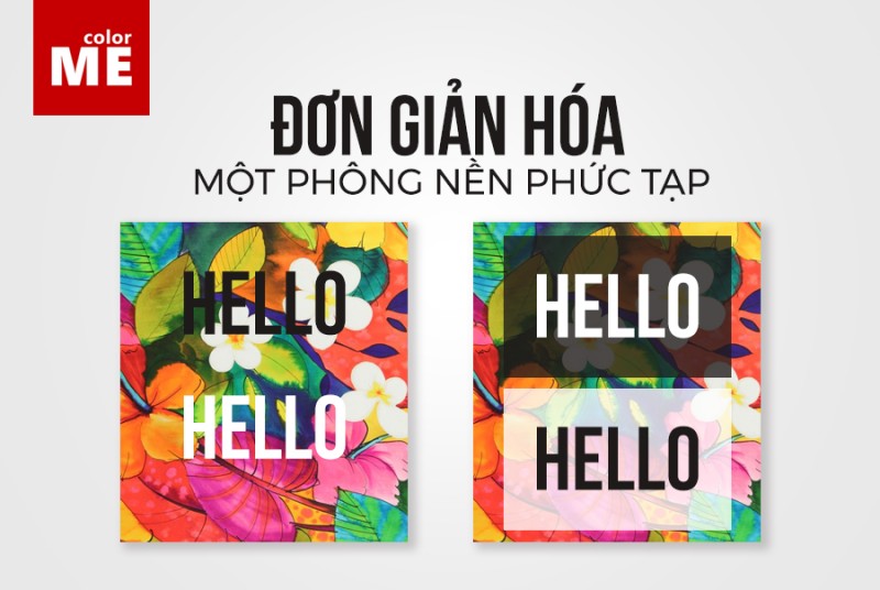 Nền là gì? Gallery 1