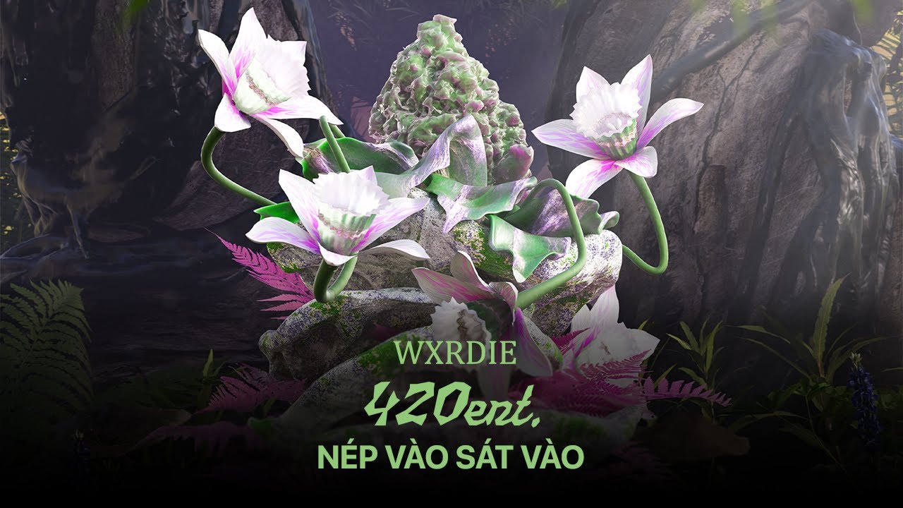 Nếp Vào Sát Vào Là Gì?