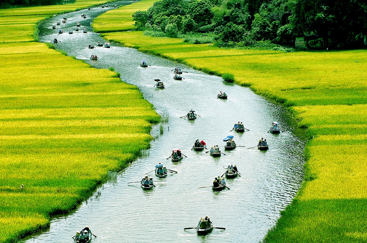 Ảnh Quê Hương Việt Nam Gallery 2