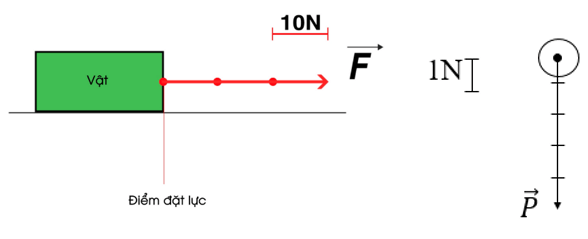 Cách Biểu Diễn Lực