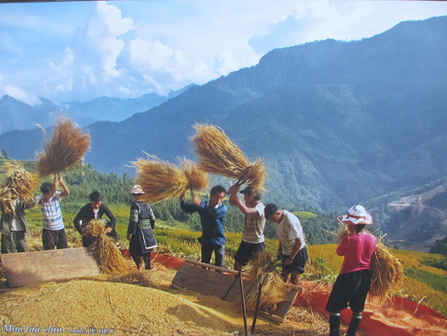 Văn bản đi san mặt đất là gì? Gallery 2