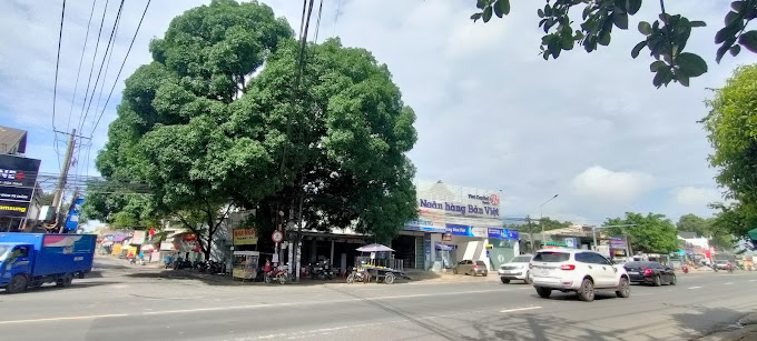 Ngã Ba Cây Xoài Đồng Nai