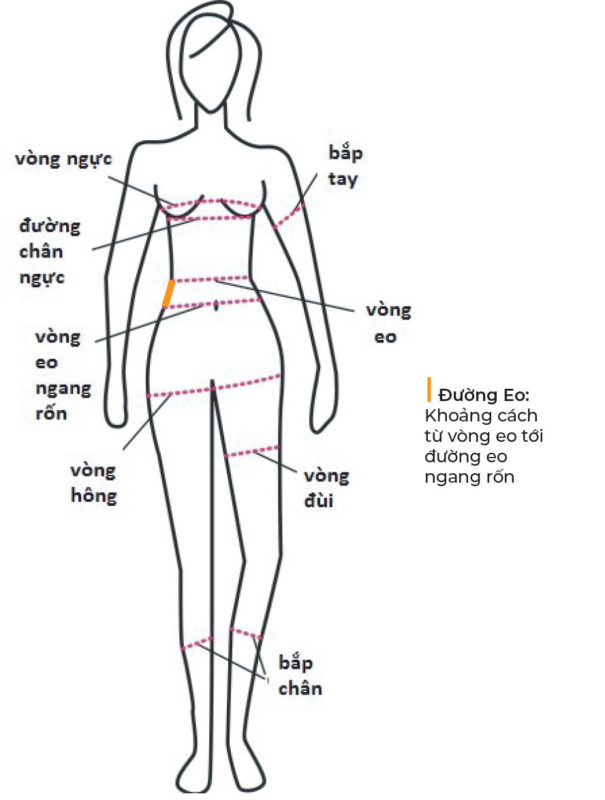 Ngang Hông Là Gì?