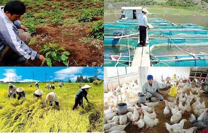 Đặc điểm ngành Nông nghiệp, Lâm nghiệp và Thủy sản