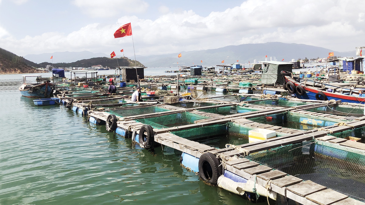 Ngành Nuôi Trồng Thủy Sản Nước Ta Hiện Nay: Thách Thức và Cơ Hội