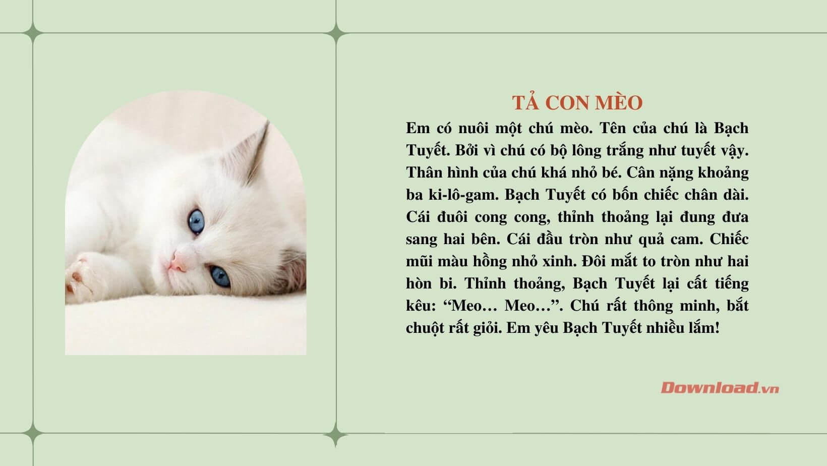 Kể Lại Sự Việc Có Thật: Ngày Tôi Tìm Thấy Chú Mèo Con Gallery 1