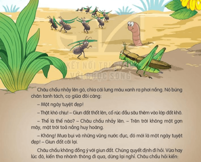 Ngày Như Thế Nào Là Đẹp?