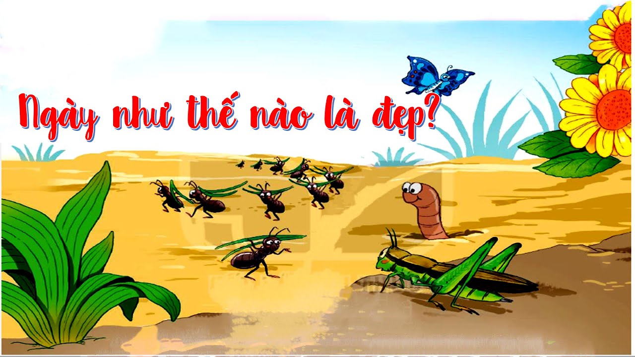 Ngày Như Thế Nào Là Đẹp? Gallery 2