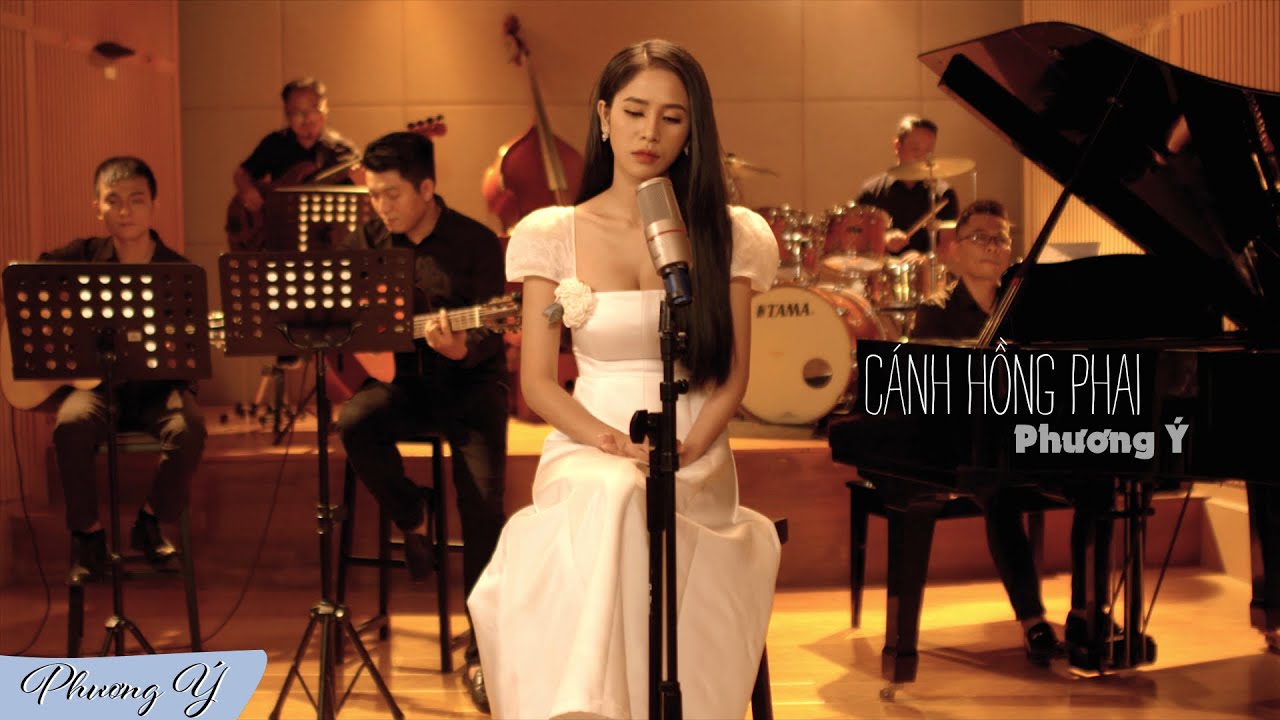 Nghe Bài Hát Cánh Hồng Phai