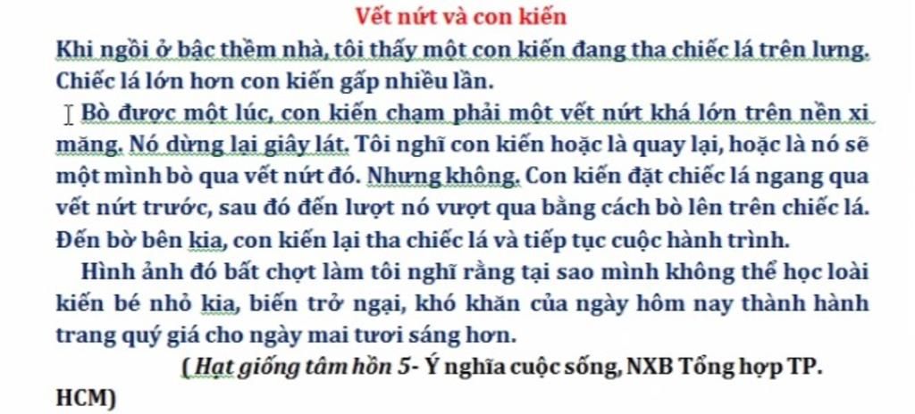 Nghị luận về câu chuyện vết nứt và con kiến Gallery 2
