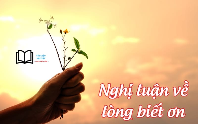 Lòng Biết Ơn: Cội Nguồn Của Tình Người