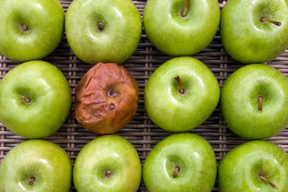 Nghĩa của từ Apple Gallery 1
