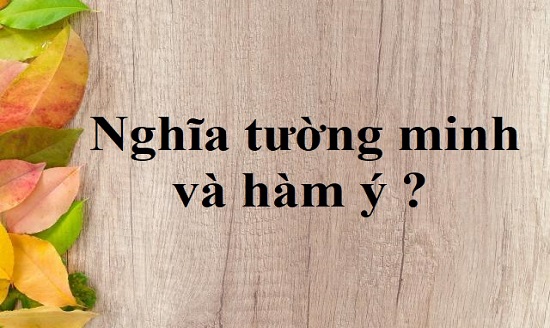 Phân biệt nghĩa tường minh và hàm ý Gallery 1