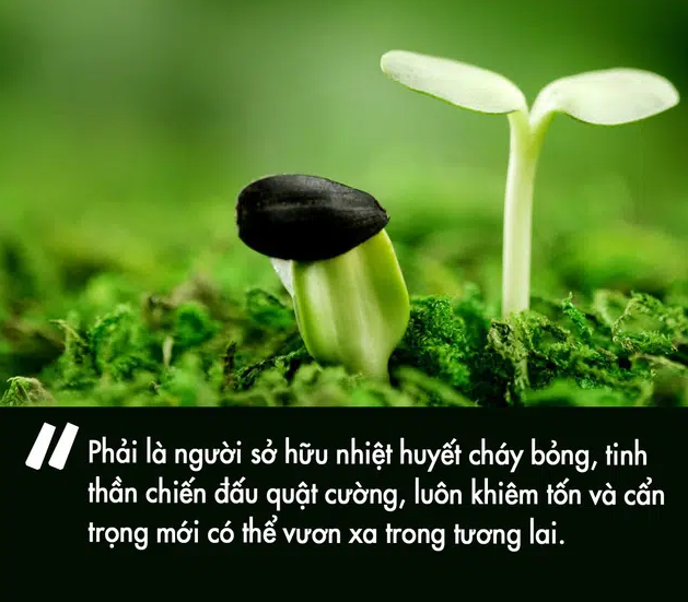 Vai trò của nghịch cảnh trong cuộc sống Gallery 1
