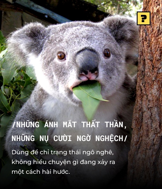 Ngờ nghệch hay ngờ nghệch