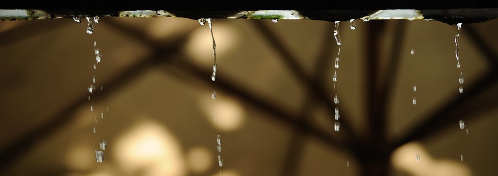 Ngoài hiên mưa rơi rơi