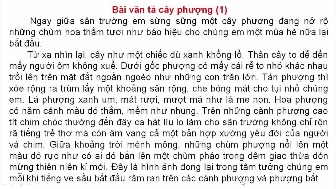 Bài Văn Tả Cây Phượng Lớp 4 Gallery 1