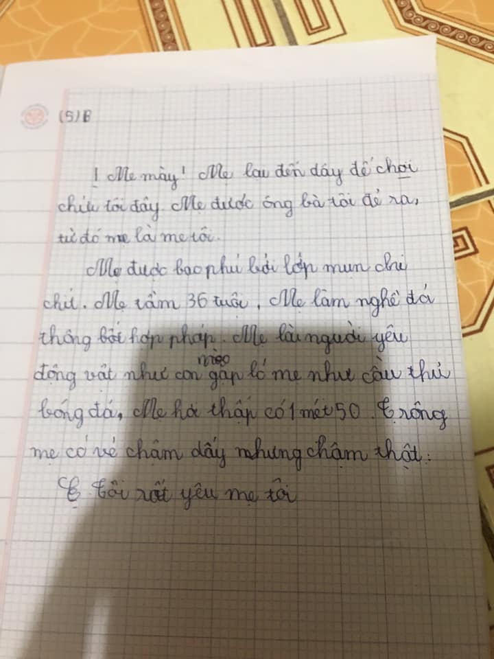 Bài Văn Tả Mẹ Lớp 5 Hay Nhất Gallery 1