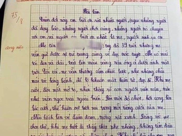 Tả mẹ Gallery 1