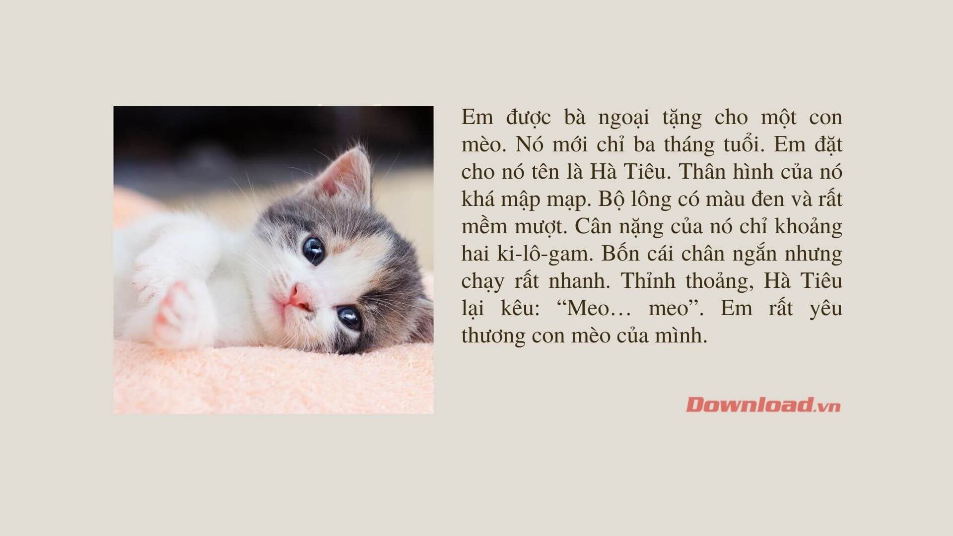 Bài Văn Tả Con Mèo Lớp 2 Gallery 1