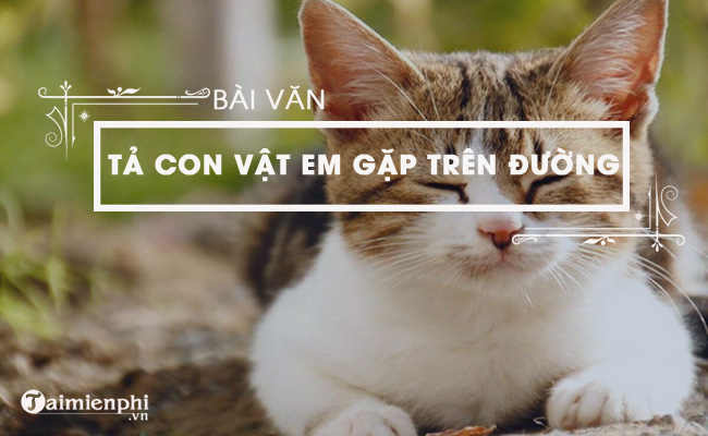 Tả con vật em chợt gặp trên đường Gallery 1