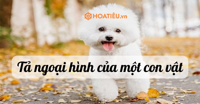 Văn Miêu Tả Con Mèo Gallery 1