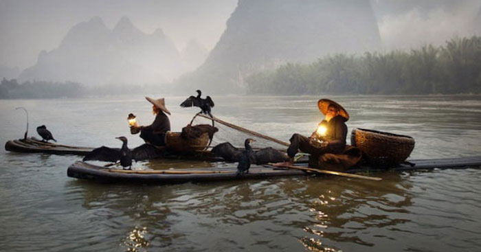 Ngoại Hình Ông Lái Đò