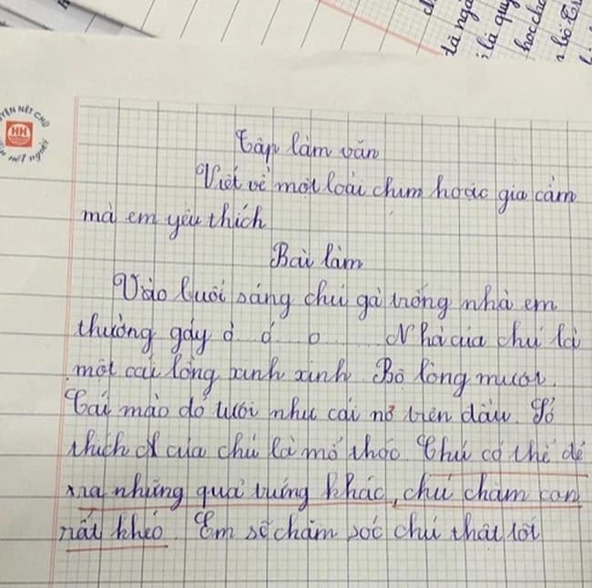 Miêu tả Ngoại Hình Con Mèo Cưng Gallery 1