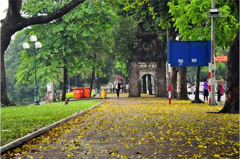 Lá cây nào báo hiệu mùa thu đến trong văn chương cổ điển? Gallery 2