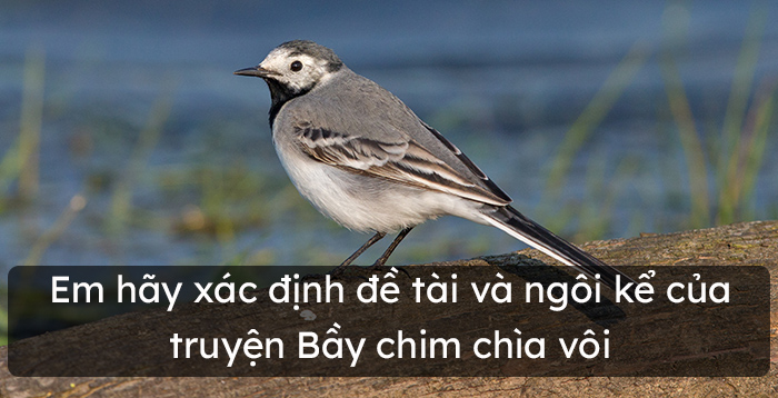 Đề tài và ngôi kể của truyện Bầy chim chìa vôi Gallery 2