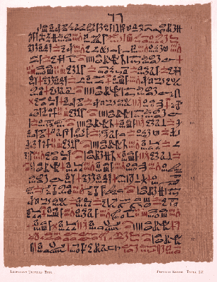 كيفية تحسين محركات البحث لموقعك الإلكتروني