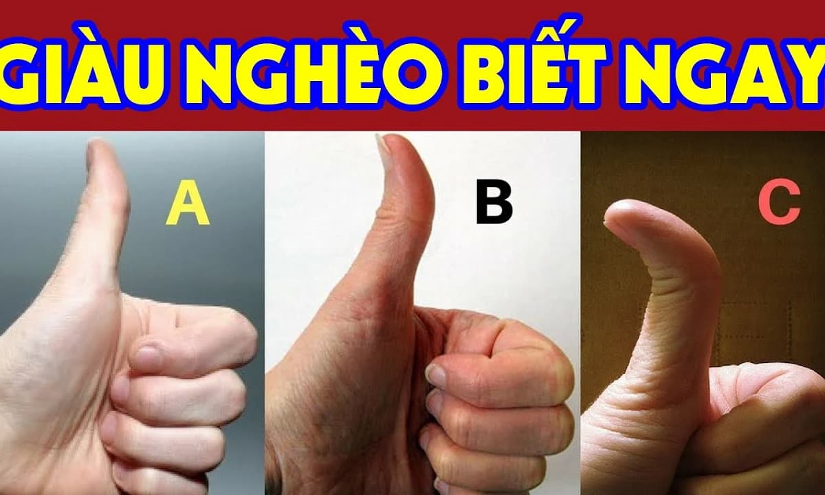 Ngón Tay Cái Có 3 Đốt Có Ý Nghĩa Gì? Gallery 1