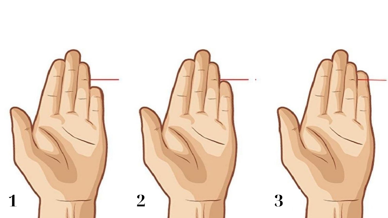 Ngón Tay Út Ngắn Nói Lên Điều Gì?