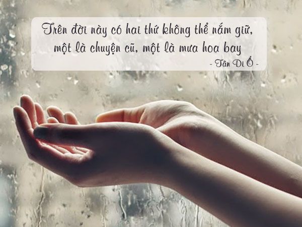 Ngôn Tình Về Mưa: Những Câu Chuyện Tình Yêu Dưới Bầu Trời Mưa