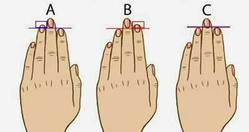 Ngón trỏ ngắn hơn ngón áp út